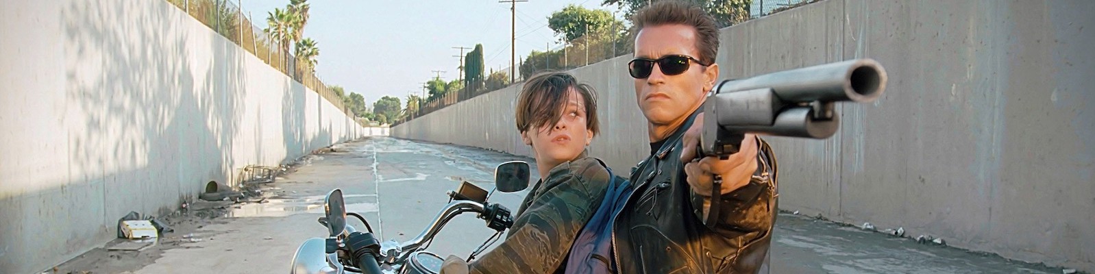 terminator-2-harley-3.jpg