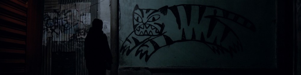 Tigers are not Afraid.jpg