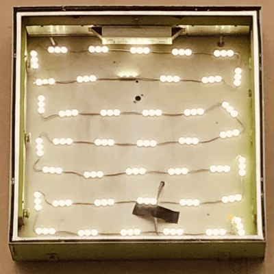 OsoOso_BaskingInTheGlow